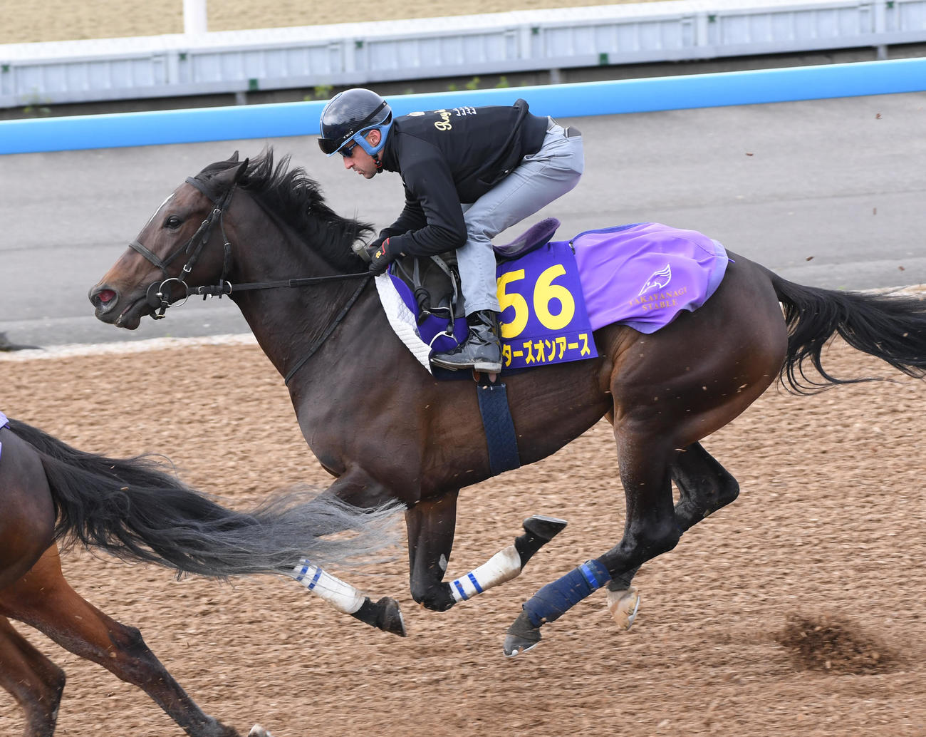 ルメール騎手を背にスターズオンアースは3頭併せで追い切る（撮影・柴田隆二）