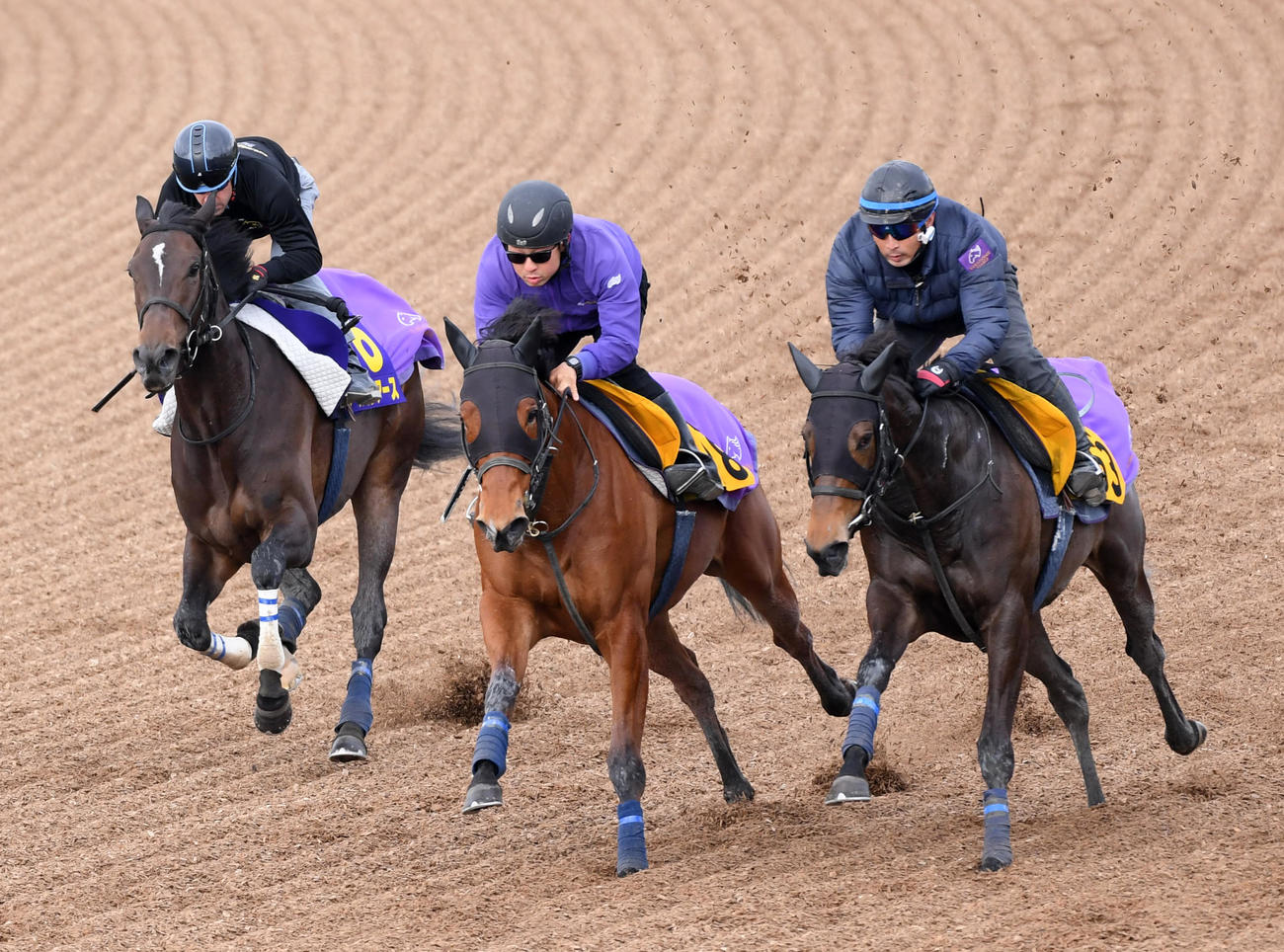 ルメール騎手を背にスターズオンアース（左）はステラダイヤ（中央）、サルサロッサと併せて追い切る（撮影・柴田隆二）