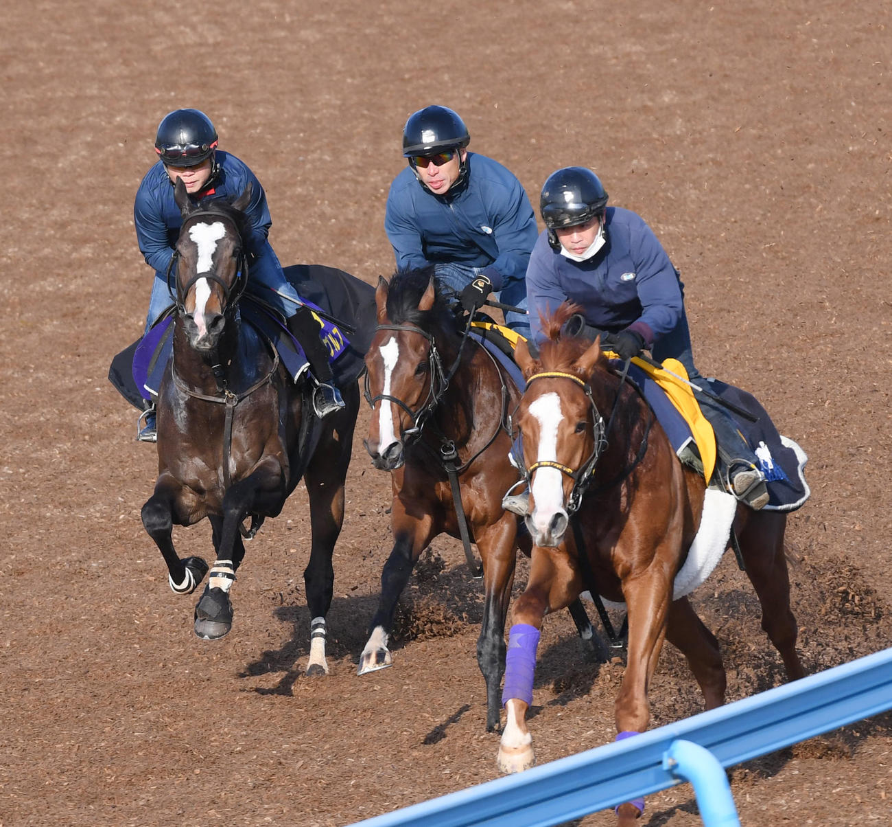 ラーグルフ（左）はナンヨーヴィヨレ（中央）、トーセンクライストと併せて追い切る（撮影・柴田隆二）