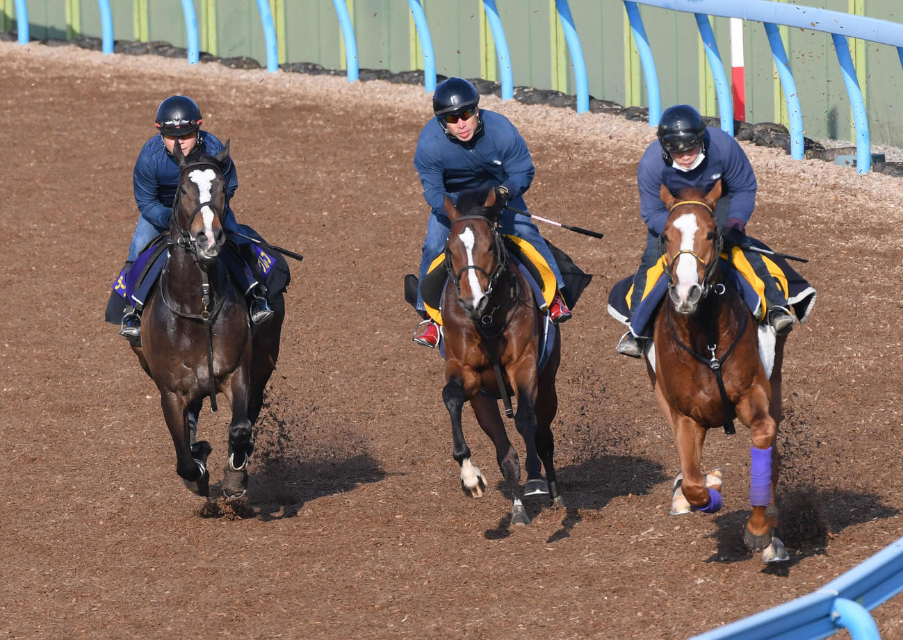 ラーグルフ（左）はナンヨーヴィヨレ（中央）、トーセンクライストと併せて追い切る（撮影・柴田隆二）