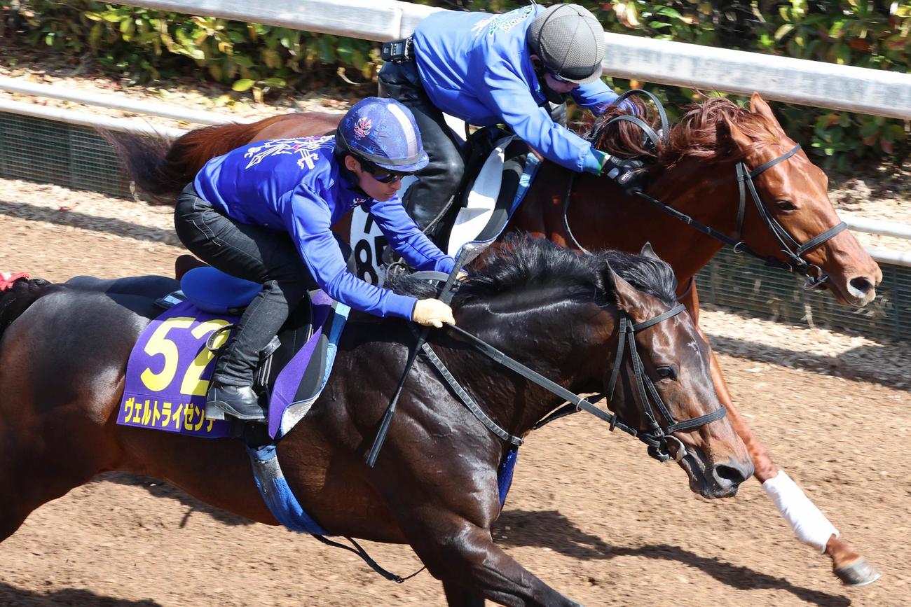 川田騎手が騎乗し、併せ馬で時計を出したヴェルトライゼンデ（左）
