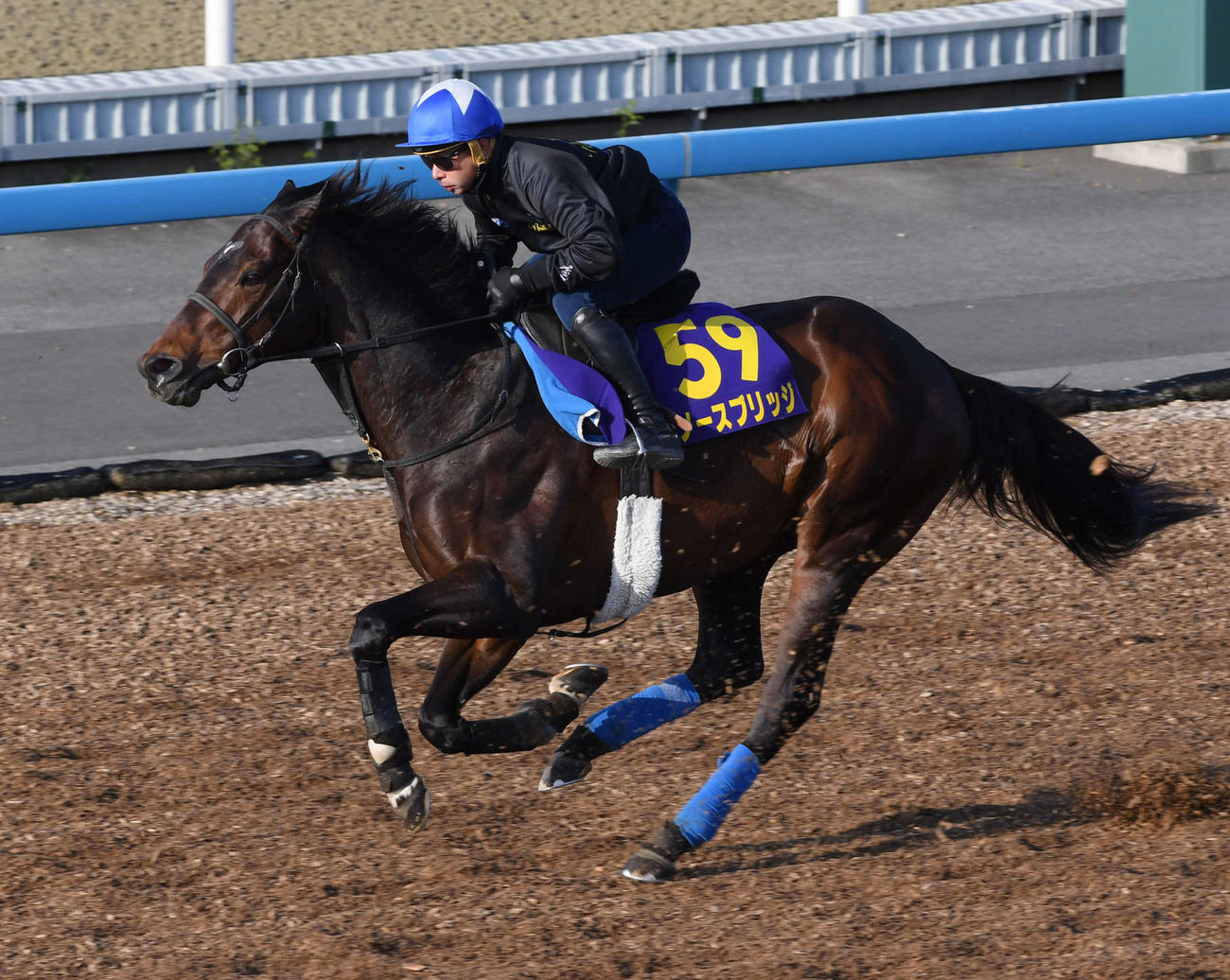 岩田康騎手を背に追い切るノースブリッジ（撮影・柴田隆二）