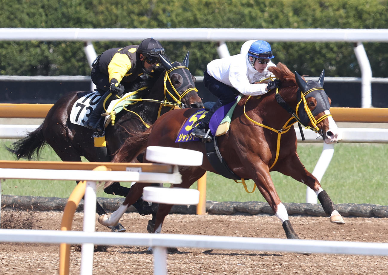 武豊騎手を背にCウッドをスパイラルノヴァ（左）と併せ馬で追い切るジャックドール（撮影・白石智彦）