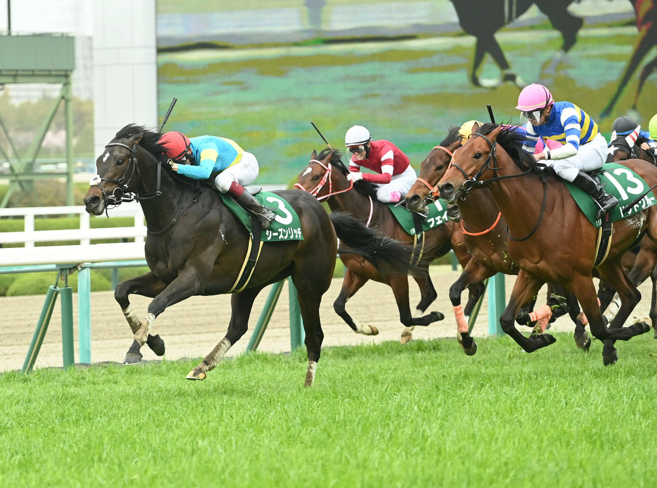 毎日杯を制したシーズンリッチ（左）（2023年3月25日撮影）