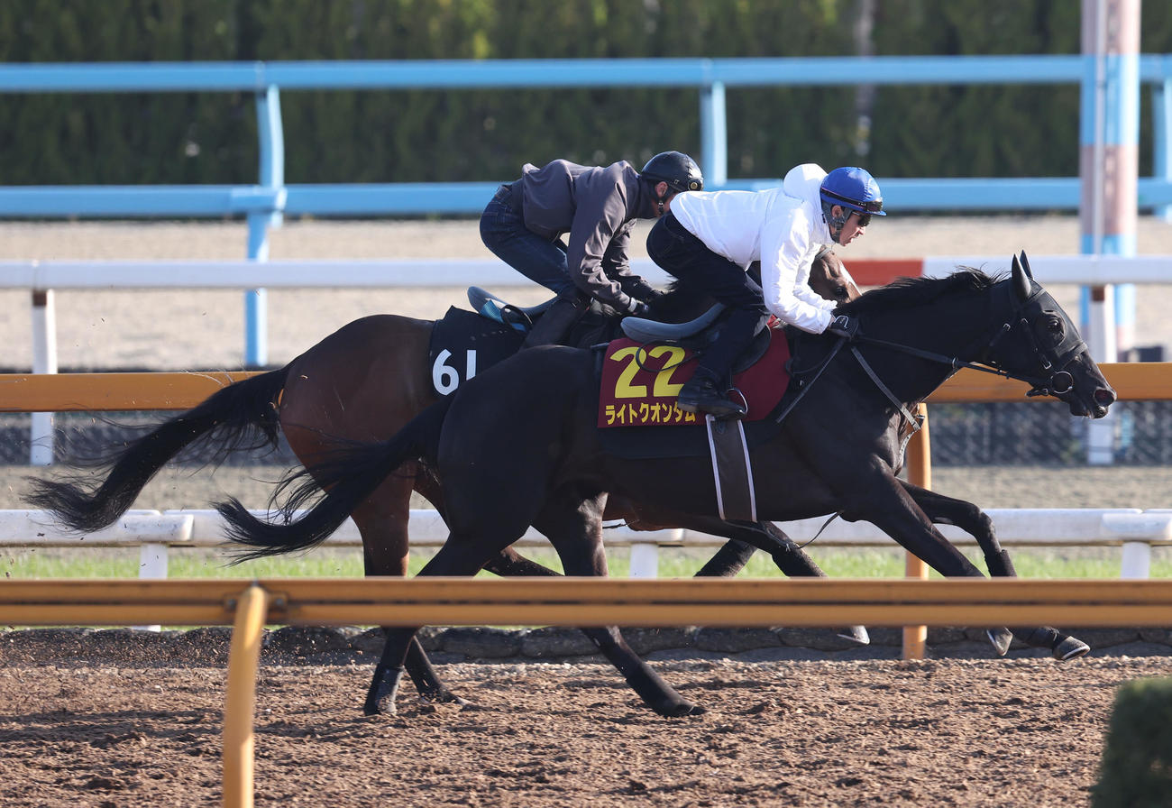 武豊騎手を背にCウッドをアリクテラー（左）と併せ馬で追い切るライトクオンタム（撮影・白石智彦）