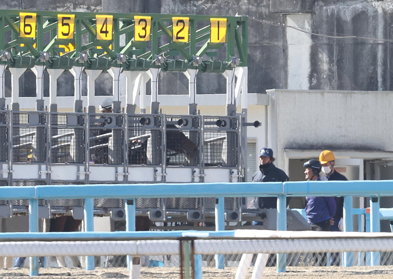 ゲート再審査で横山和騎手を背に枠内で駐立するダノンザキッド（撮影・白石智彦）