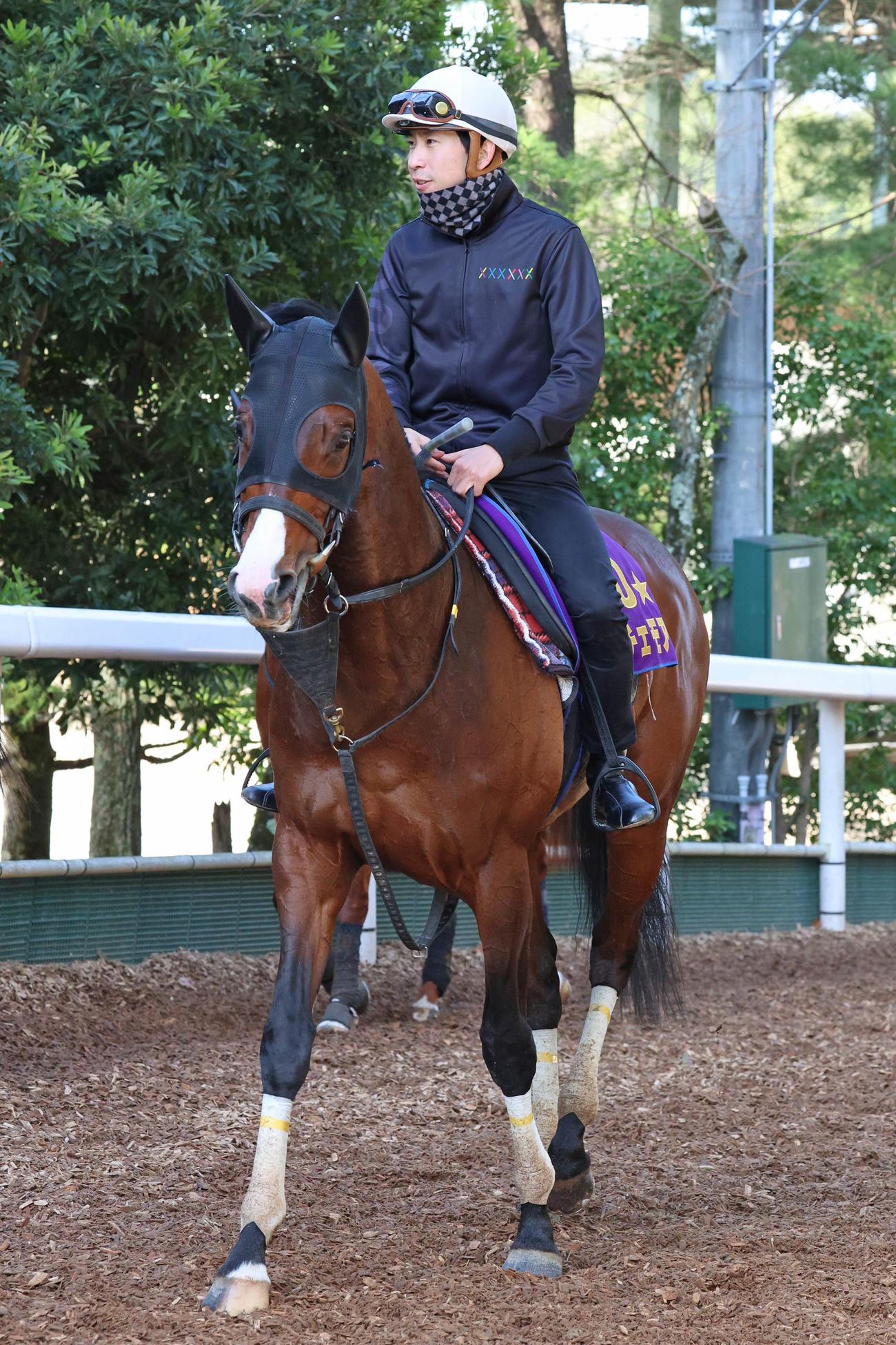 横山和騎手騎乗のドルチェモア