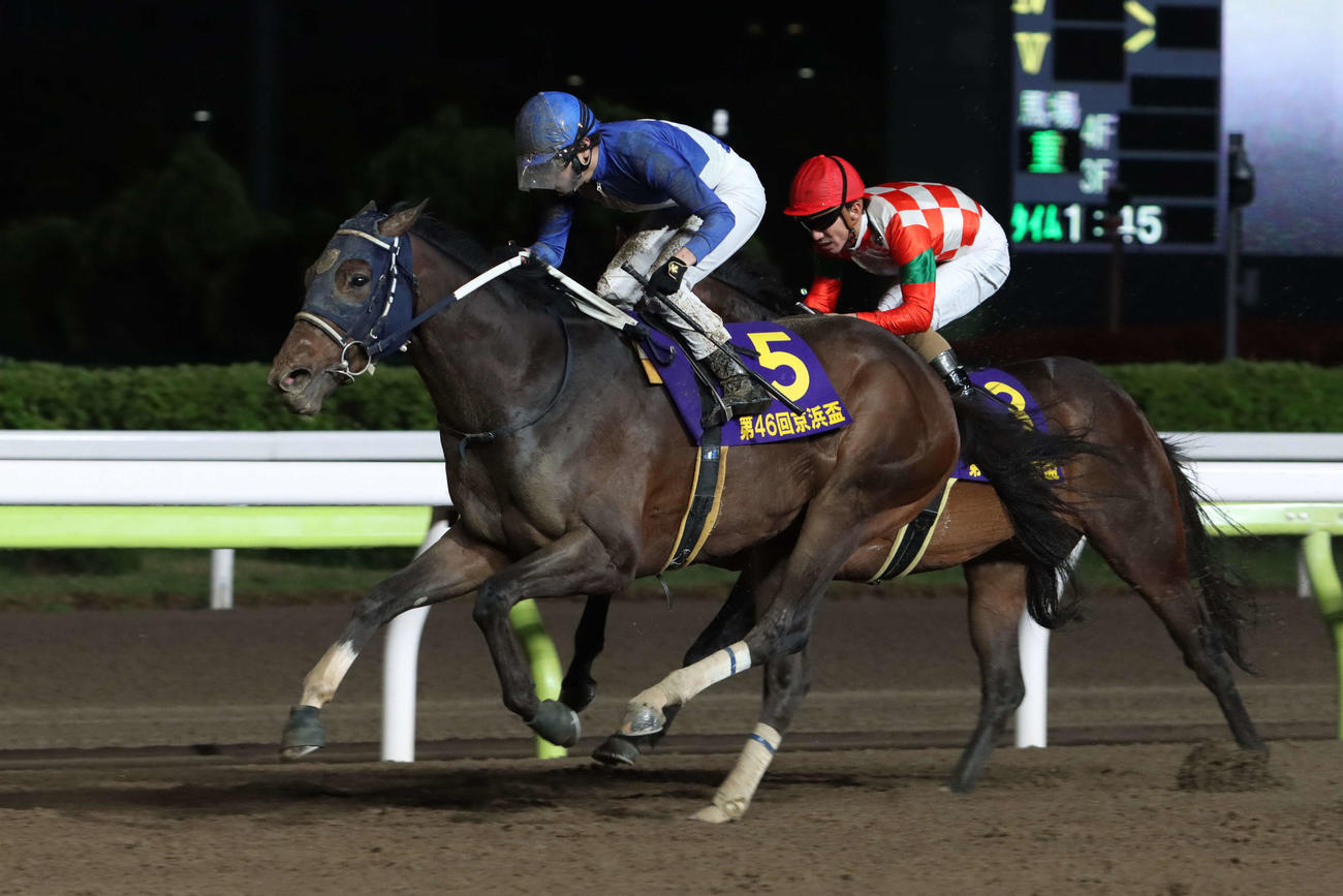 京浜盃を制したサベージと石崎駿騎手（手前）