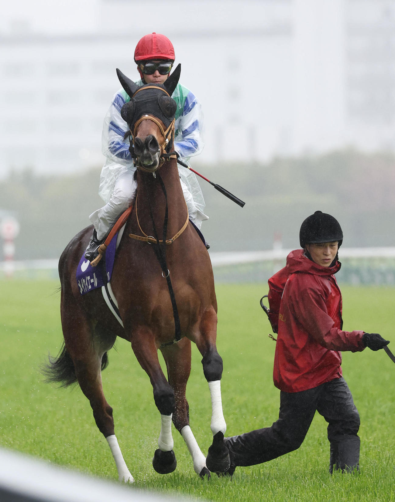 3月26日、高松宮記念　馬場入りするメイケイエール