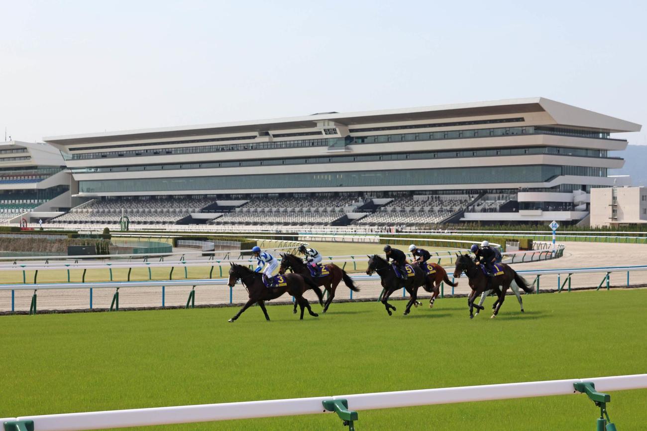 京都競馬場の新装されたグランドスタンドをバックに、馬場走行テストをする試走会メンバー