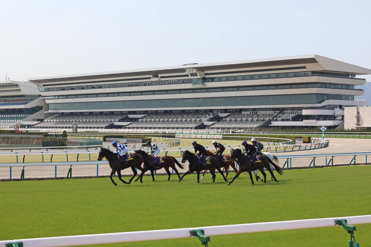 京都競馬場の新装されたグランドスタンドをバックに、馬場走行テストをする試走会メンバー