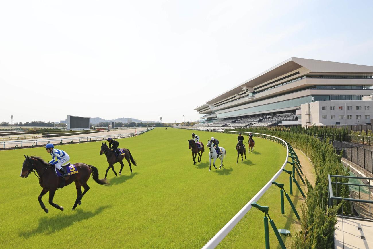 新装された京都競馬場のグランドスタンドをバックに、馬場走行テストをする試走会メンバー