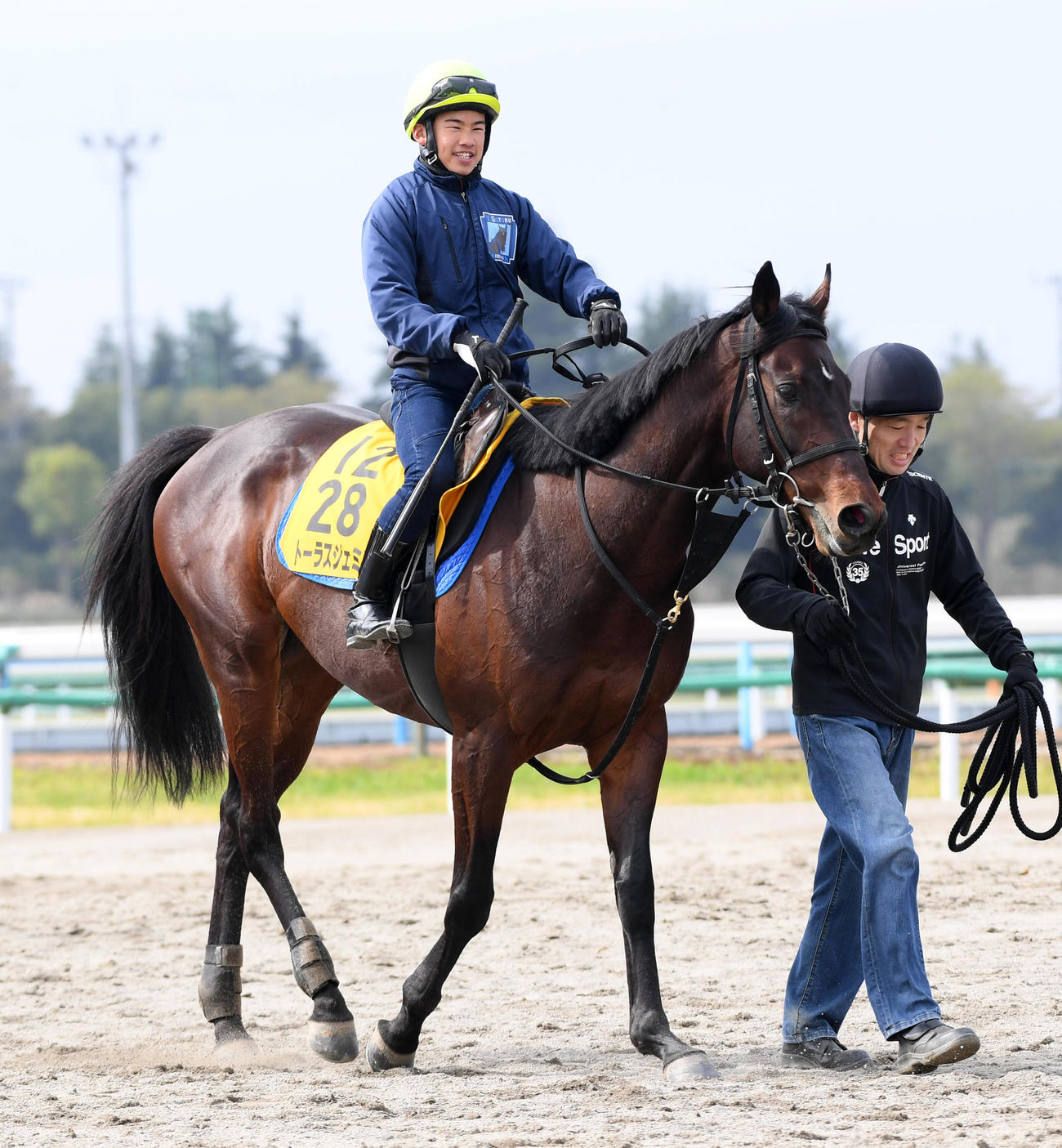 追い切りを終えたトーラスジェミニと佐藤翔馬騎手（2023年3月29日撮影）