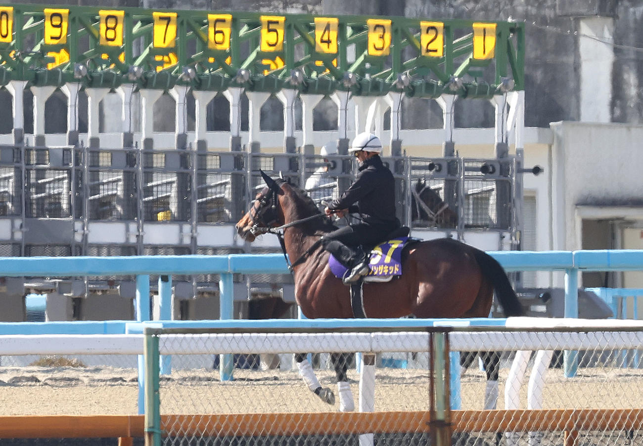 横山和騎手を背にゲート再審査に向かうダノンザキッド（2023年3月29日撮影）