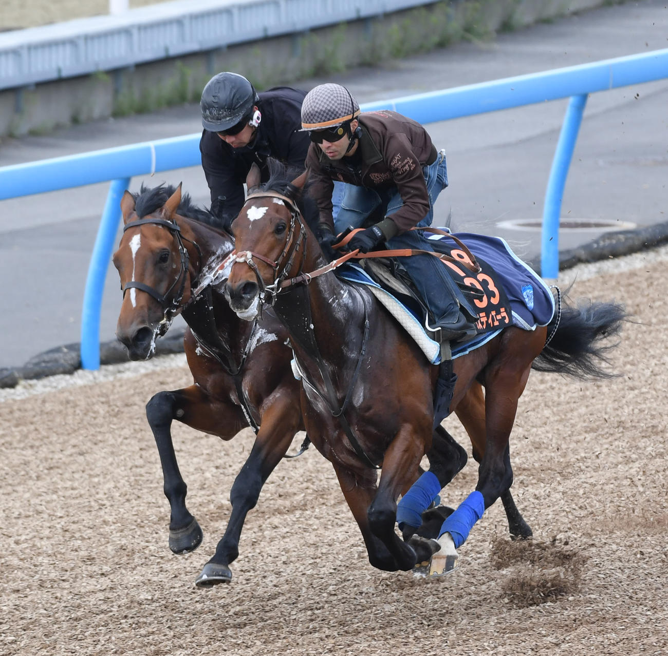 タスティエーラ（右）はヴァリドゥスと併せて追い切る（撮影・柴田隆二）