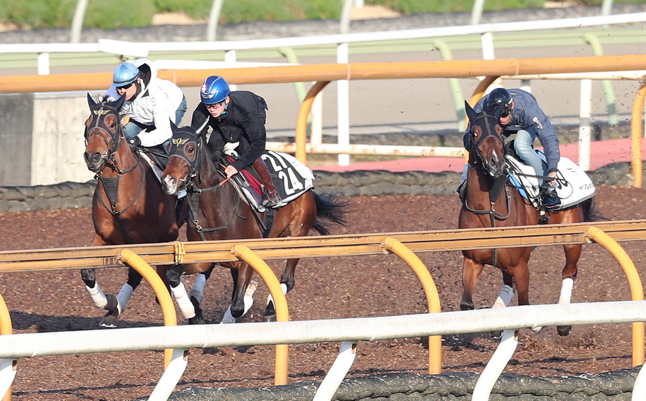 ダノンタッチダウン（左）は、ミッキーゴージャス（中央）、フライングバレル（右）と3頭併せで追い切り
