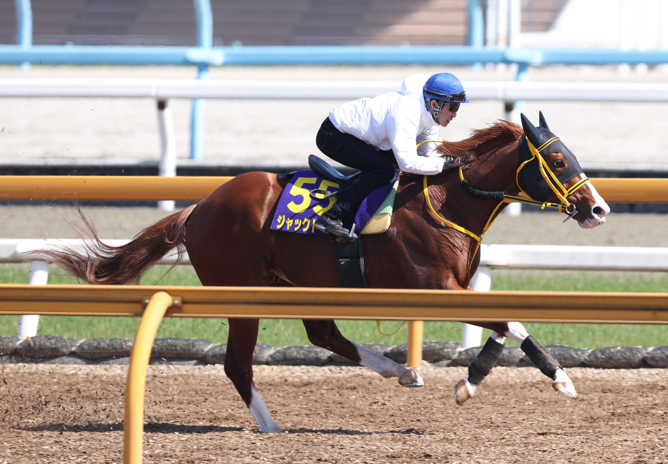 武豊騎手を背にCウッドを併せ馬で追い切るジャックドール（2023年3月29日撮影）