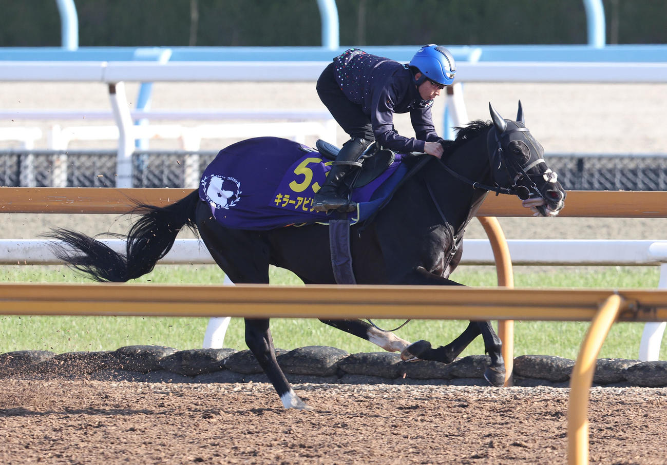 団野騎手を背にCウッドを単走で追い切るキラーアビリティ（2023年3月29日撮影）