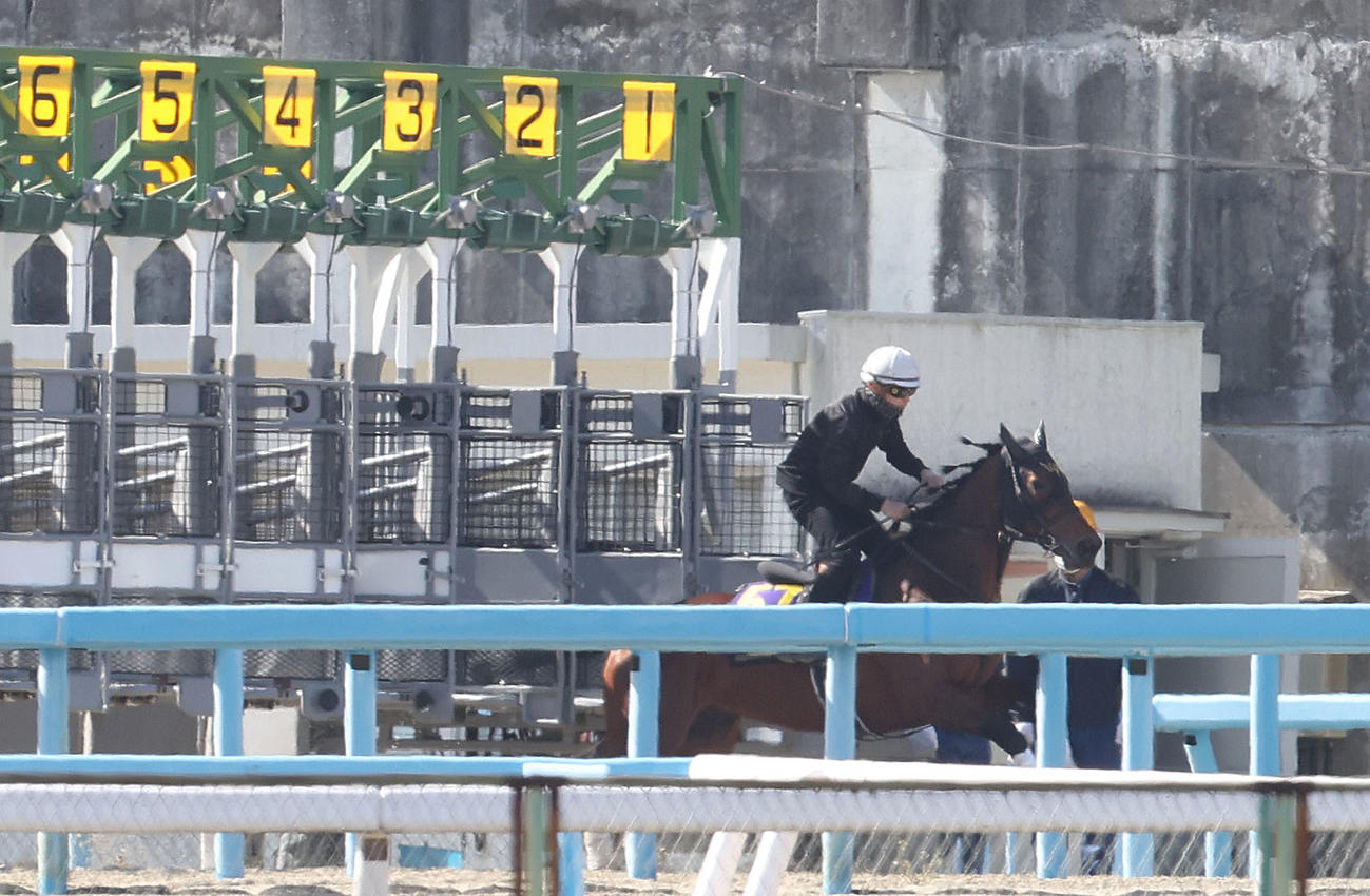 ゲート再審査で横山和騎手を背に発馬するダノンザキッド（2023年3月29日撮影）