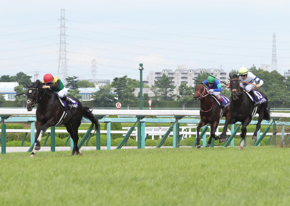 22年宝塚記念2着に敗れたヒシイグアス（右）。左は勝ったタイトルホルダー