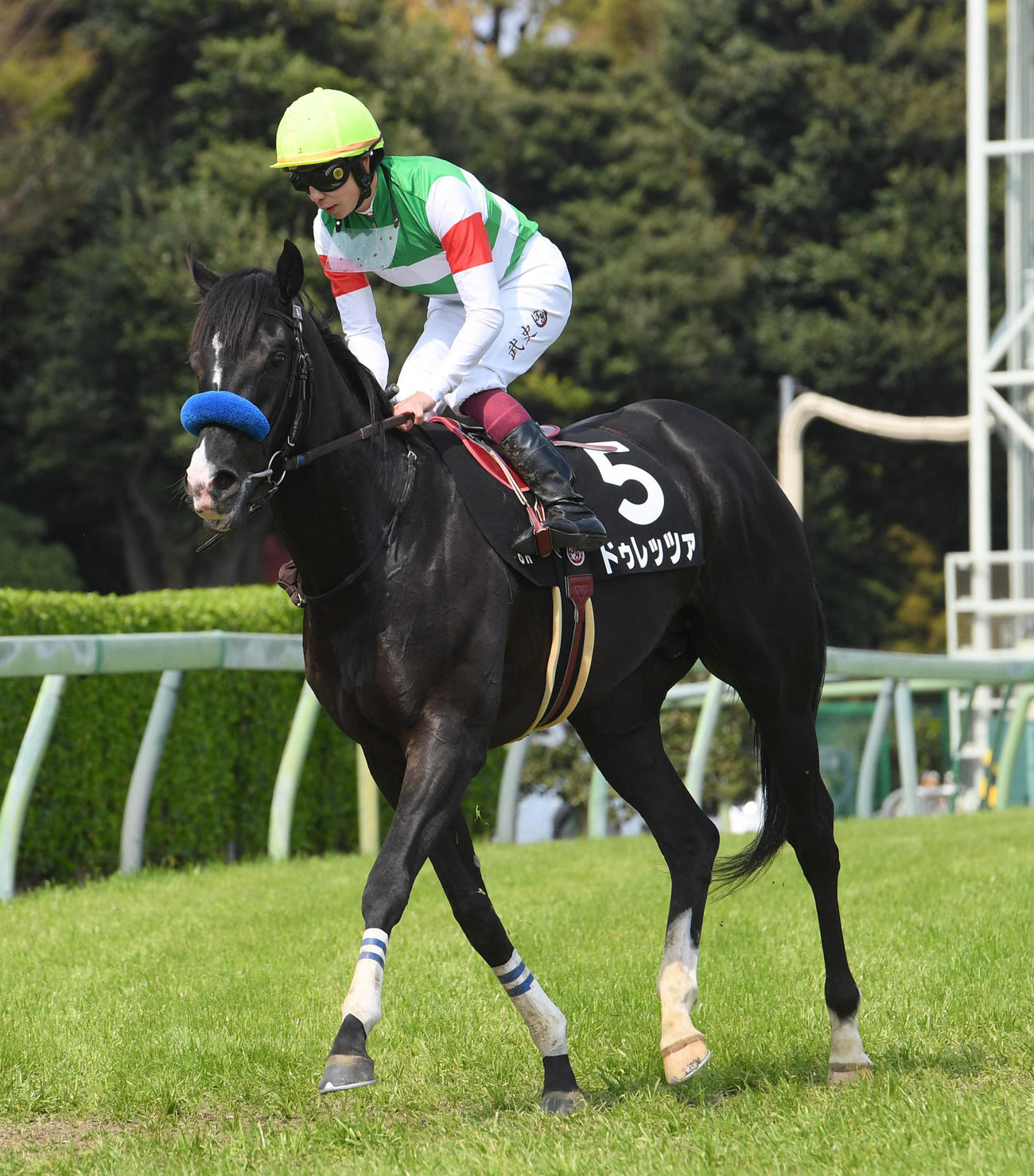 中山8R、山吹賞を制したドゥレッツァと横山武騎手（撮影・柴田隆二）