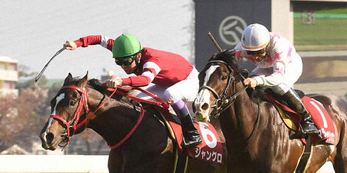 ニュージーランドTを制したジャングロ(左)。右は2着のマテンロウオリオン=2022年4月9日、中山競馬場