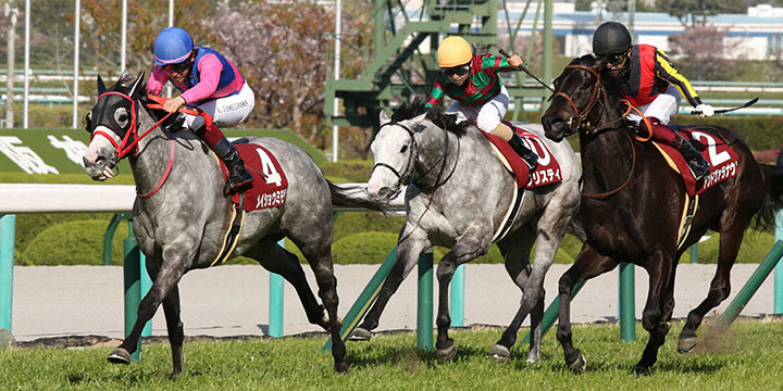 直線抜け出し阪神牝馬Sを快勝したメイショウミモザ（左）。右は2着のアンドヴァラナウト＝2022年4月9日、阪神競馬場