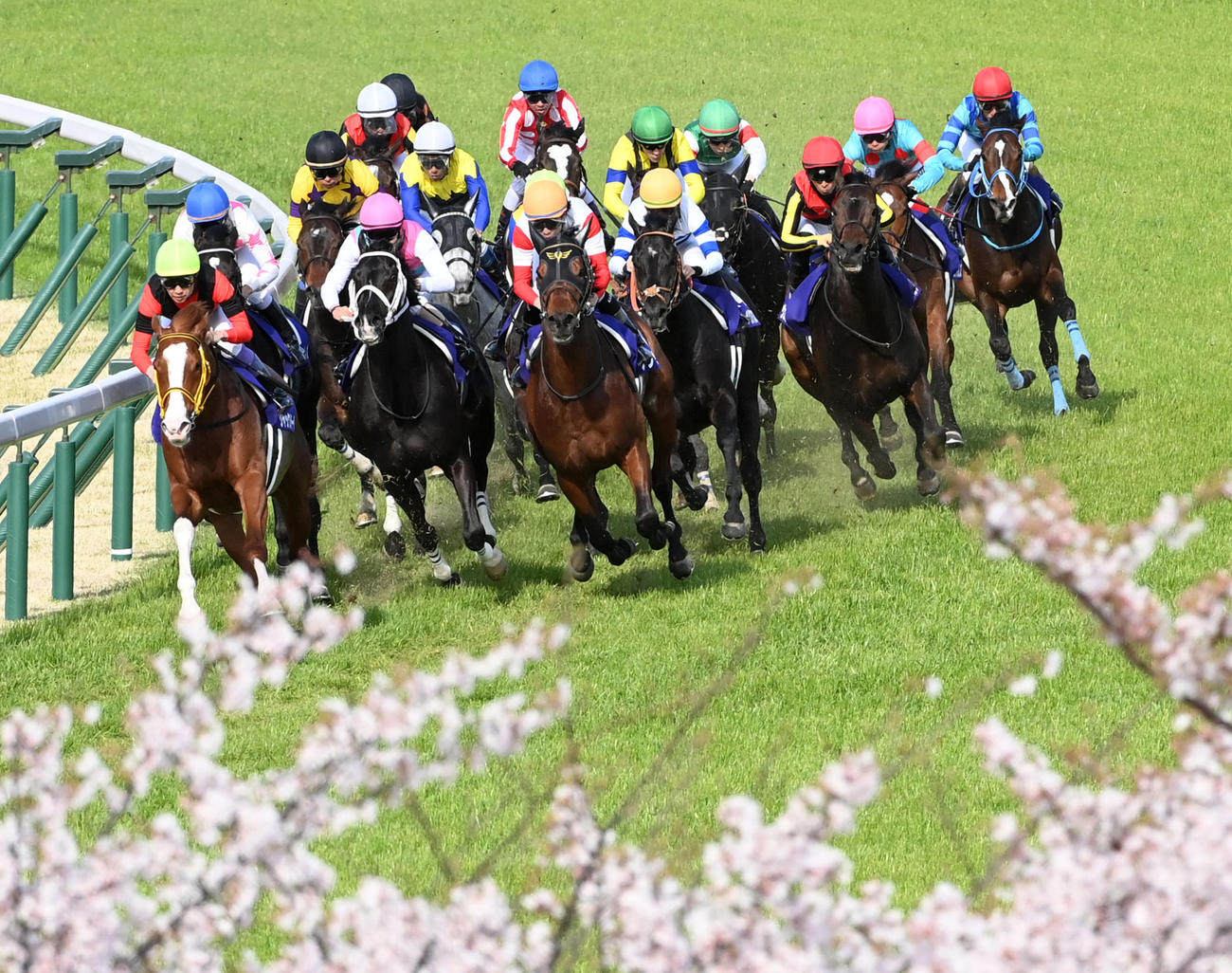 先頭で4コーナーを回るジャックドール（撮影・前岡正明）