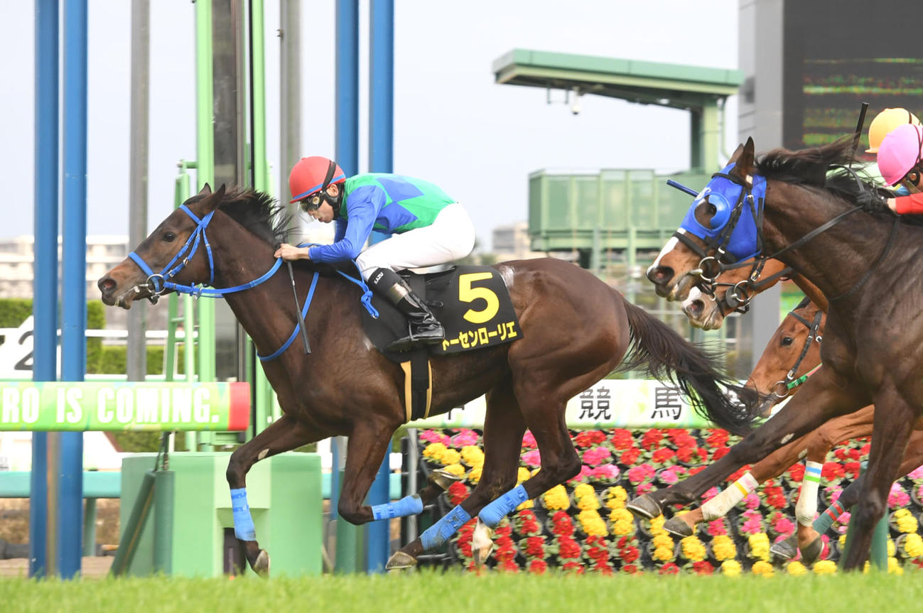 アネモネSを制したトーセンローリエ