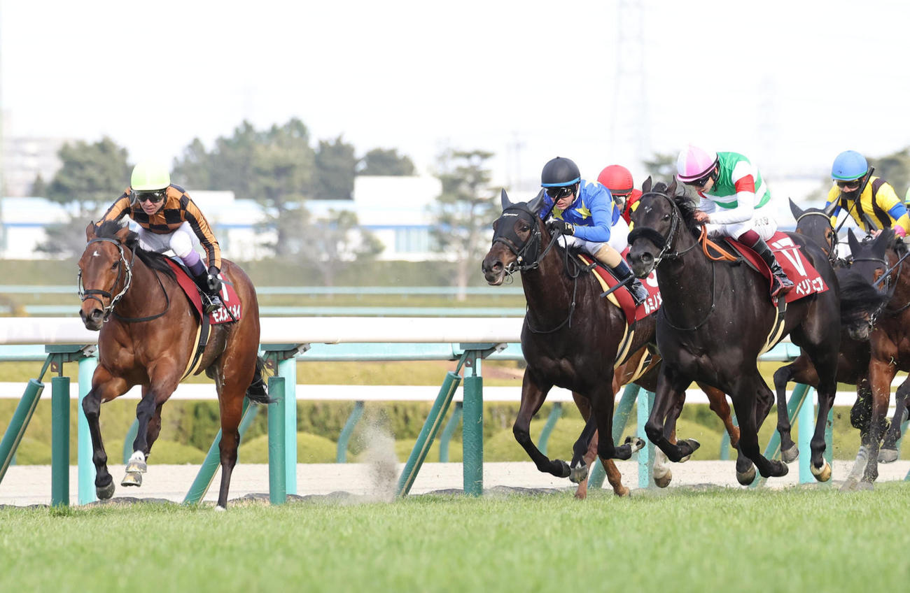 チューリップ賞3着のペリファーニア（右）。左は勝ったモズメイメイ