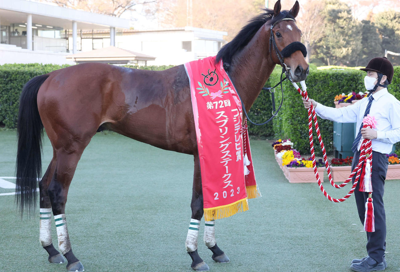 スプリングSを制したベラジオオペラ（2023年3月19日撮影）