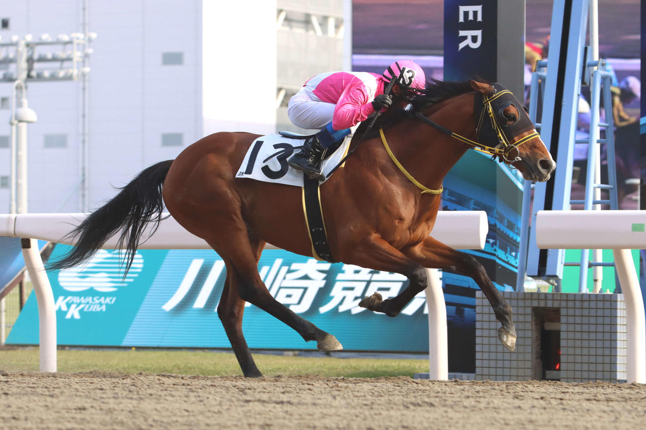 騎乗したJRAの佐藤翔馬騎手は中央、地方を通じてデビュー初勝利