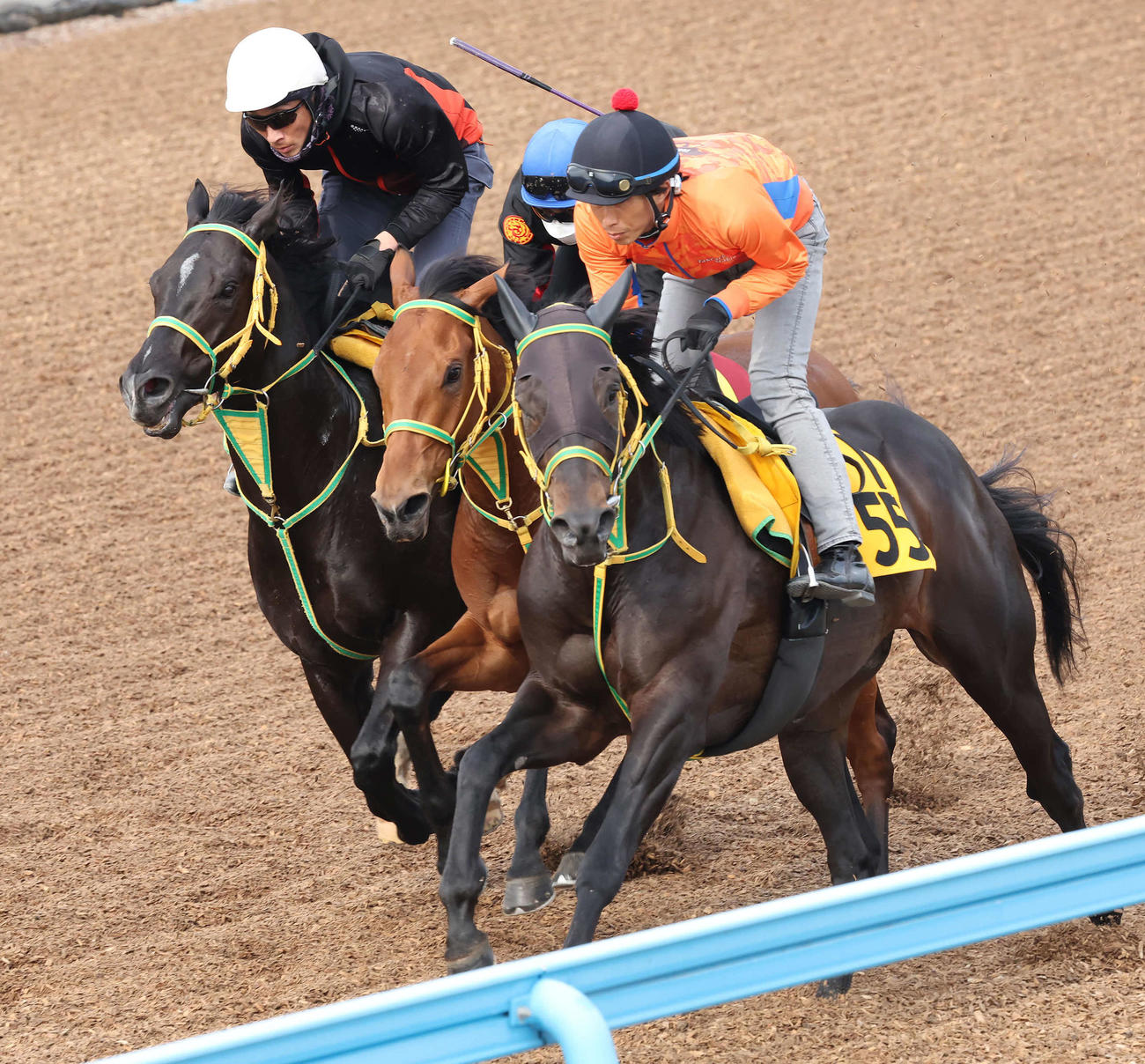 シンリョクカ（中央）は吉田豊騎手を背に美浦ウッドで3頭併せで追い切られた（撮影・丹羽敏通）