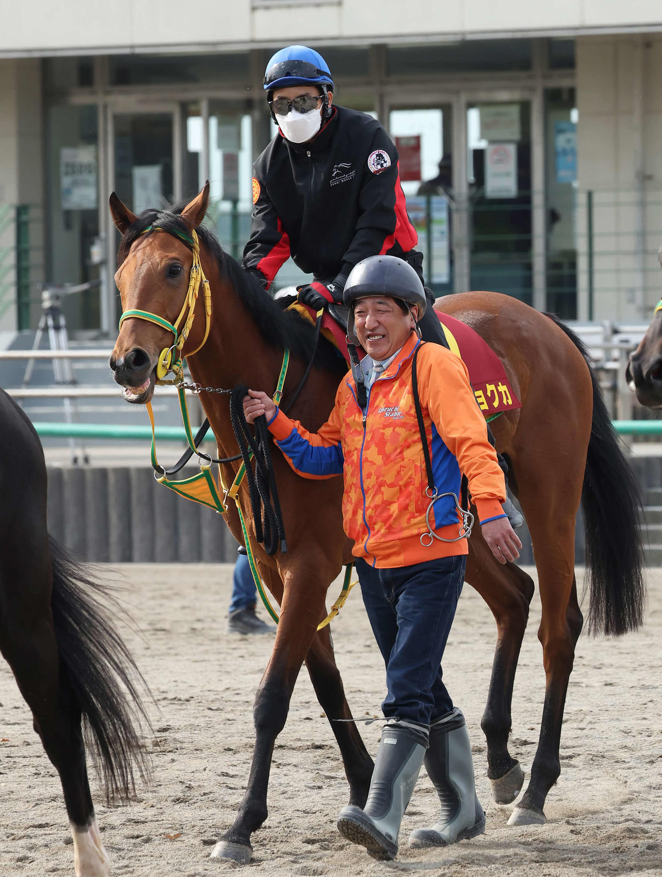 追い切りを終えて馬場を出るシンリョクカと吉田豊騎手（撮影・丹羽敏通）