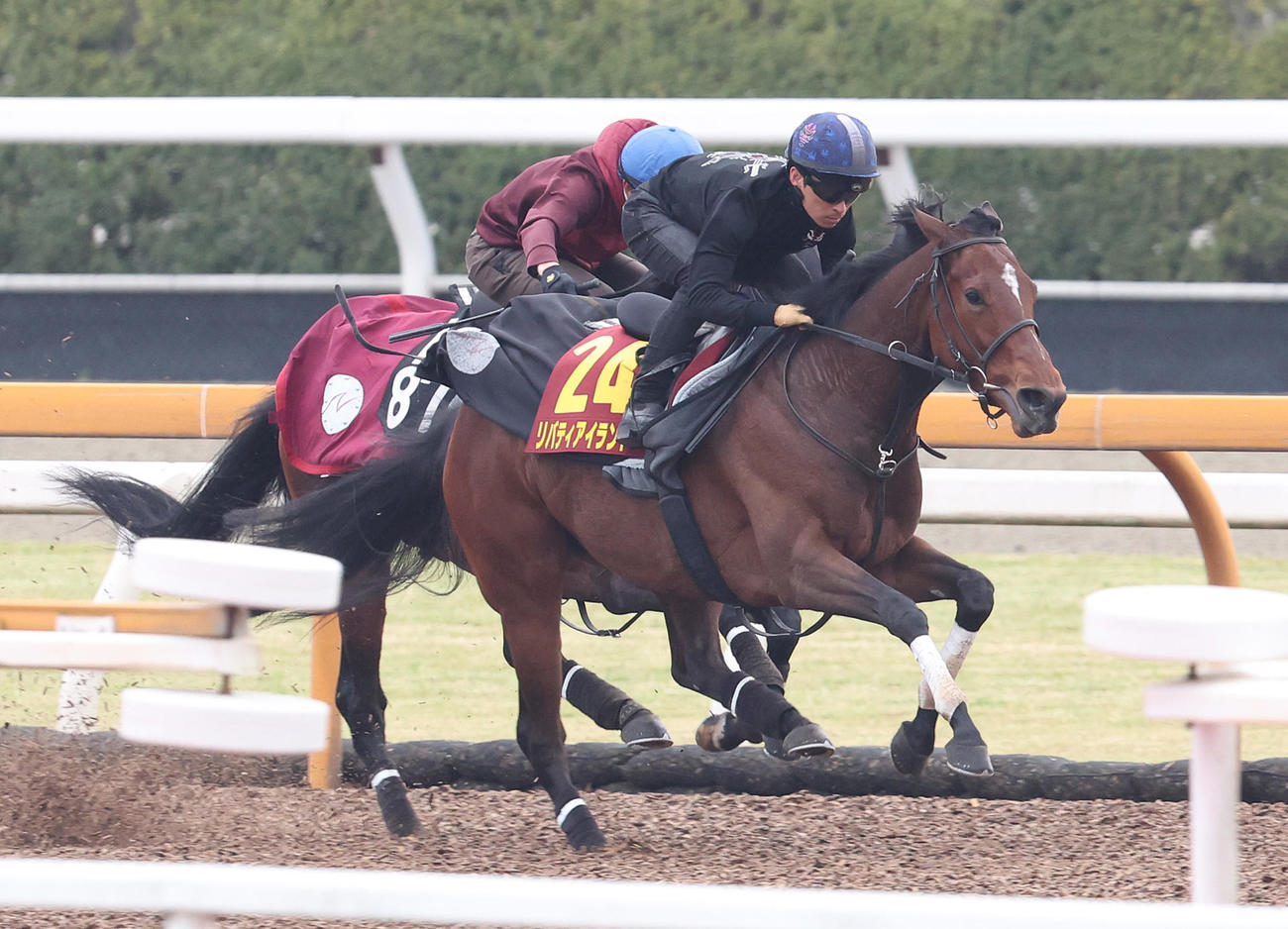 川田騎手を背にレッドラグラス（奥）と併せ馬で追い切るリバティアイランド（撮影・白石智彦）