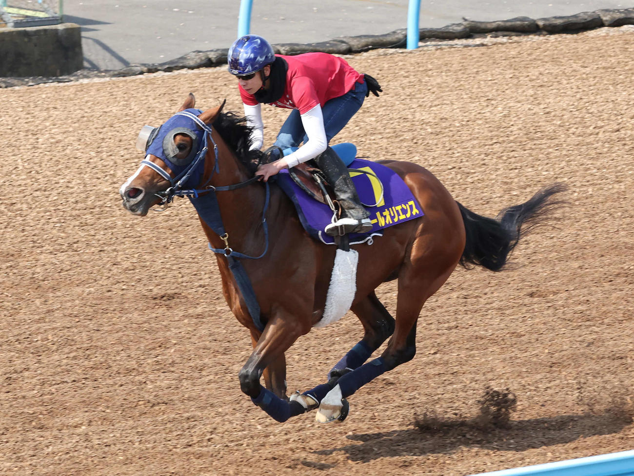 ソールオリエンスは横山武騎手を背に美浦ウッドを単走で追い切られた（撮影・丹羽敏通）