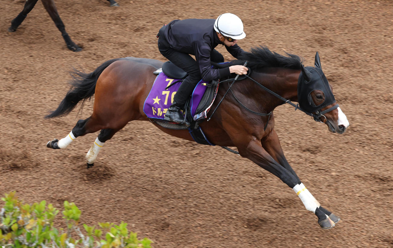 横山和生騎手を背に坂路で追い切るドルチェモア