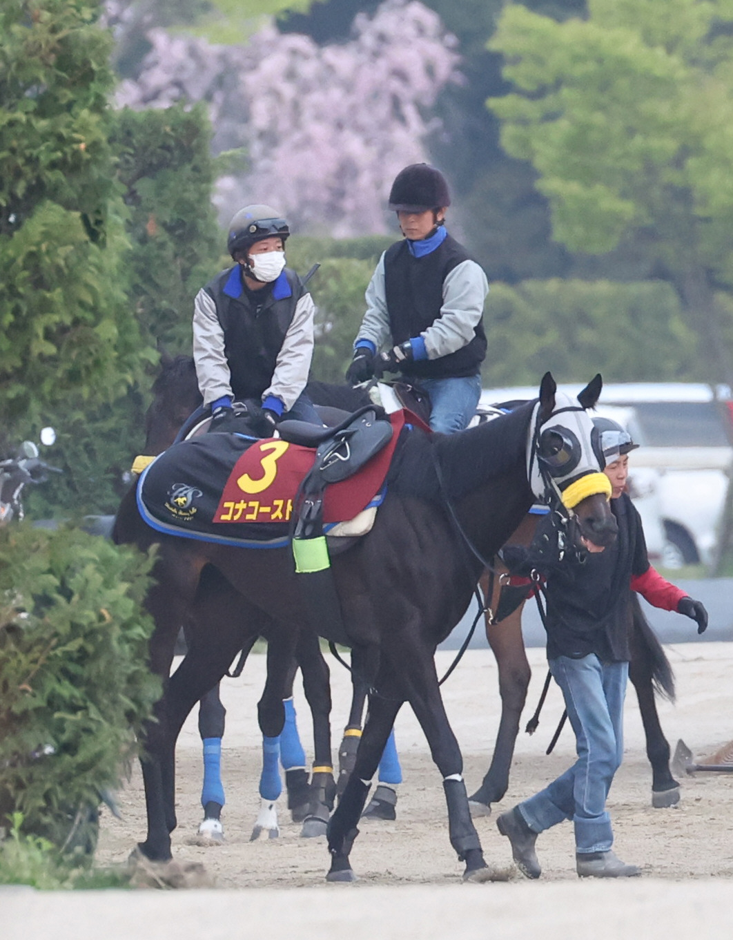 運動するコナコースト