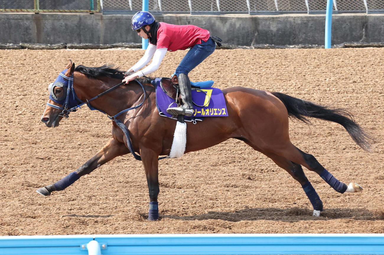 横山武騎手を背に美浦ウッドを単走で追い切るソールオリエンス（撮影・丹羽敏通）