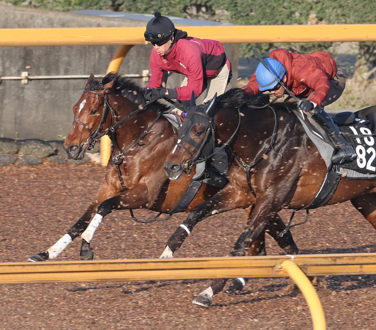 3月30日、併せ馬で追い切るリバティアイランド（左）