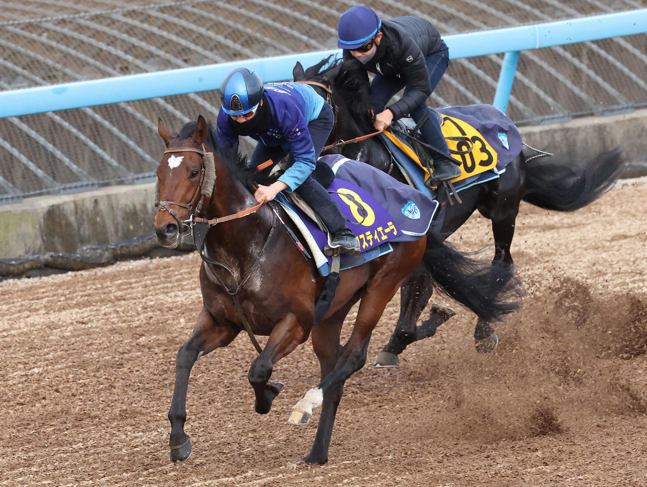 タスティエーラは松山騎手を背に美浦ウッド力強い伸びを見せた（撮影・丹羽敏通）