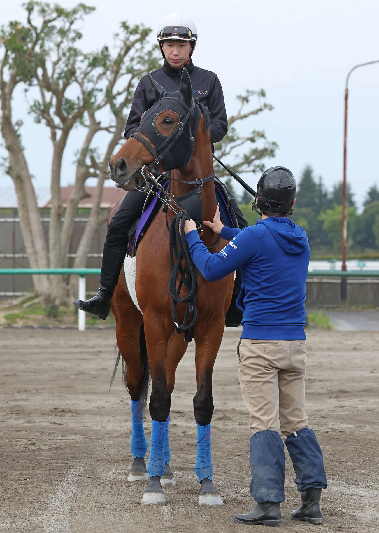 追い切りを終えて馬場を出るホウオウビスケッツと横山和騎手（撮影・丹羽敏通）