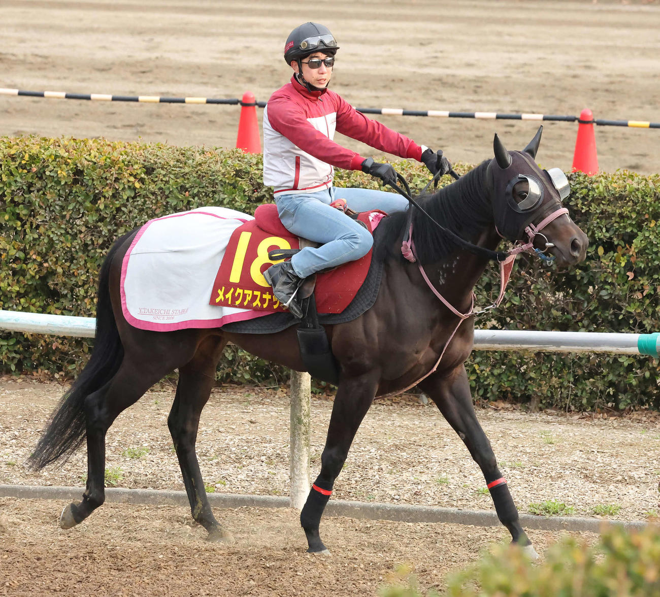 5日、馬場へ向かうメイクアスナッチ（撮影・丹羽敏通）