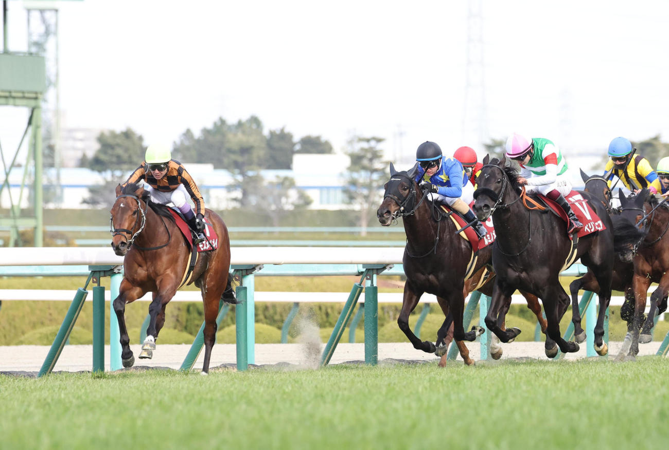 逃げ切ってチューリップ賞を制したモズメイメイ（左）（2023年3月4日撮影）