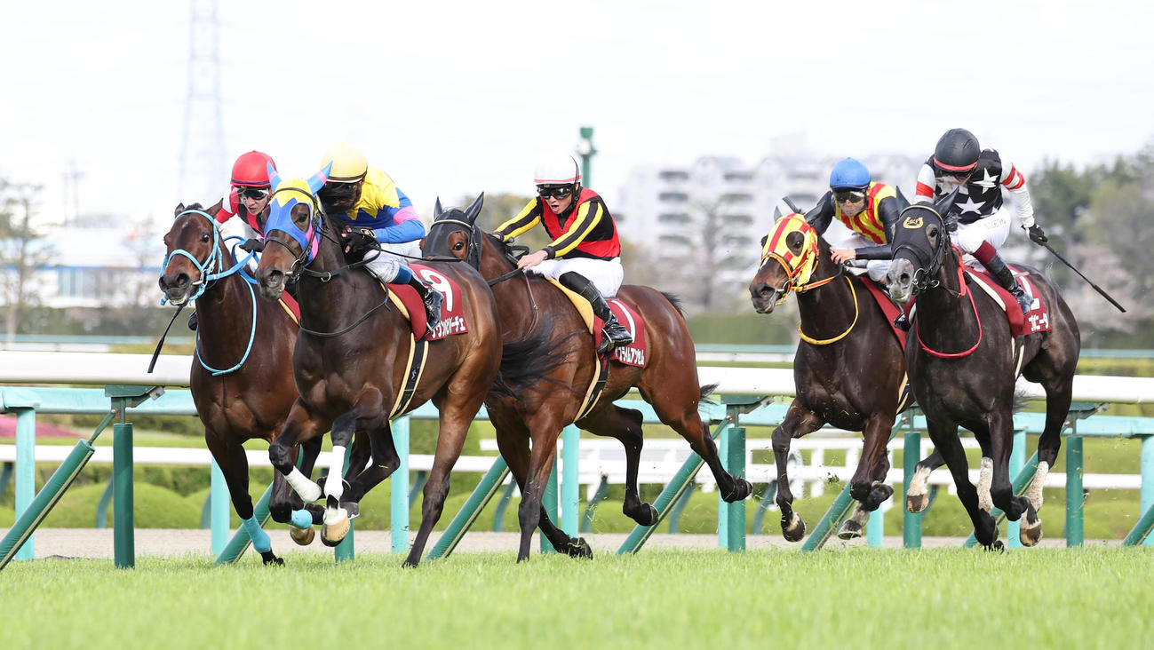 阪神11R、直線抜け出して阪神牝馬Sを制したサウンドビバーチェ（左から2頭目）（撮影・白石智彦）