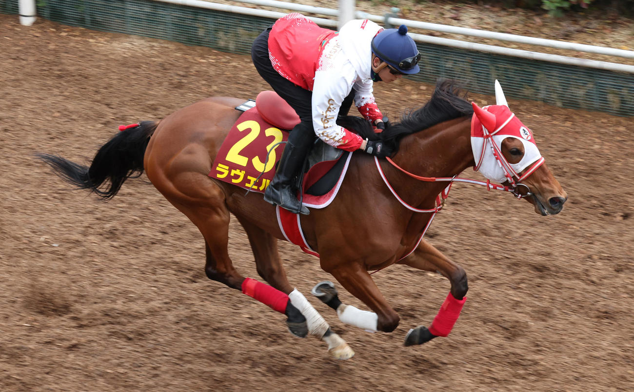 4月5日、坂井瑠星騎手を背に坂路で追い切るラヴェル