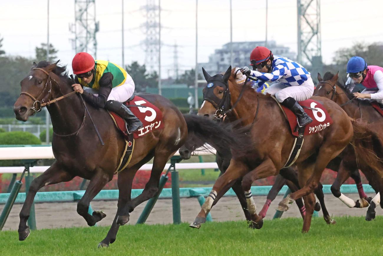 NZT3着のシャンパンカラー（右）。左は勝ったエエヤン（撮影・丹羽敏通）