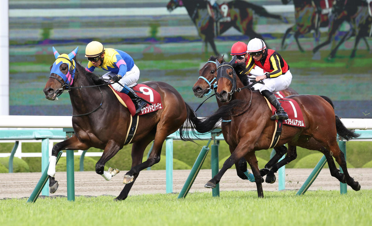 阪神牝馬S2着に入ったサブライムアンセム（右）。左は勝ったサウンドビバーチェ（撮影・白石智彦）