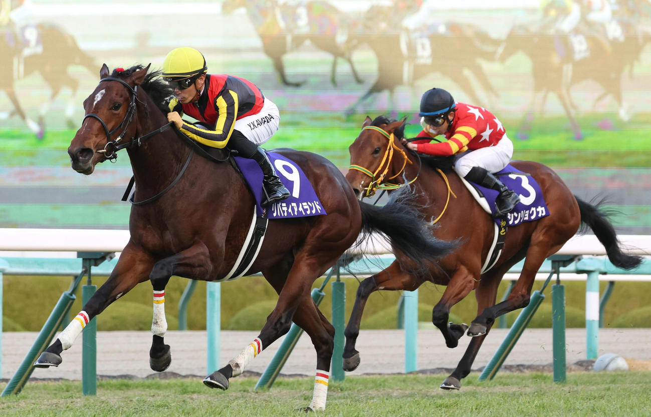 阪神JFで2着に入ったシンリョクカ（右）。左は勝ったリバティアイランド
