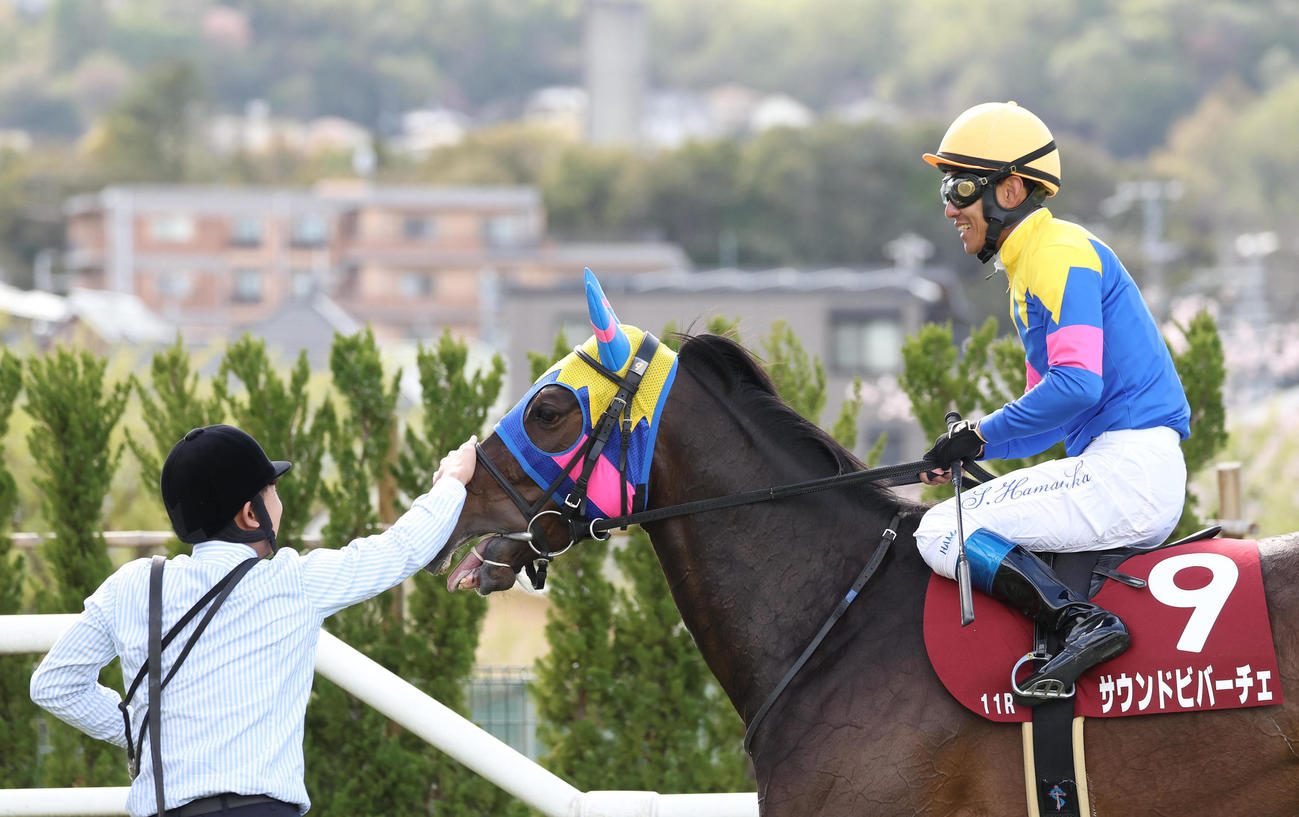 阪神牝馬Sを制したサウンドビバーチェは顔をなでられながら引き揚げる（撮影・白石智彦）